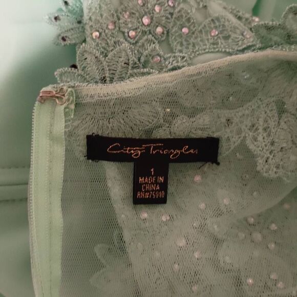 Formal Lt Green Rhinestones Floral Lace Sweetheart Bodice Long Gown Maxi Dress - Picture 14 of 15